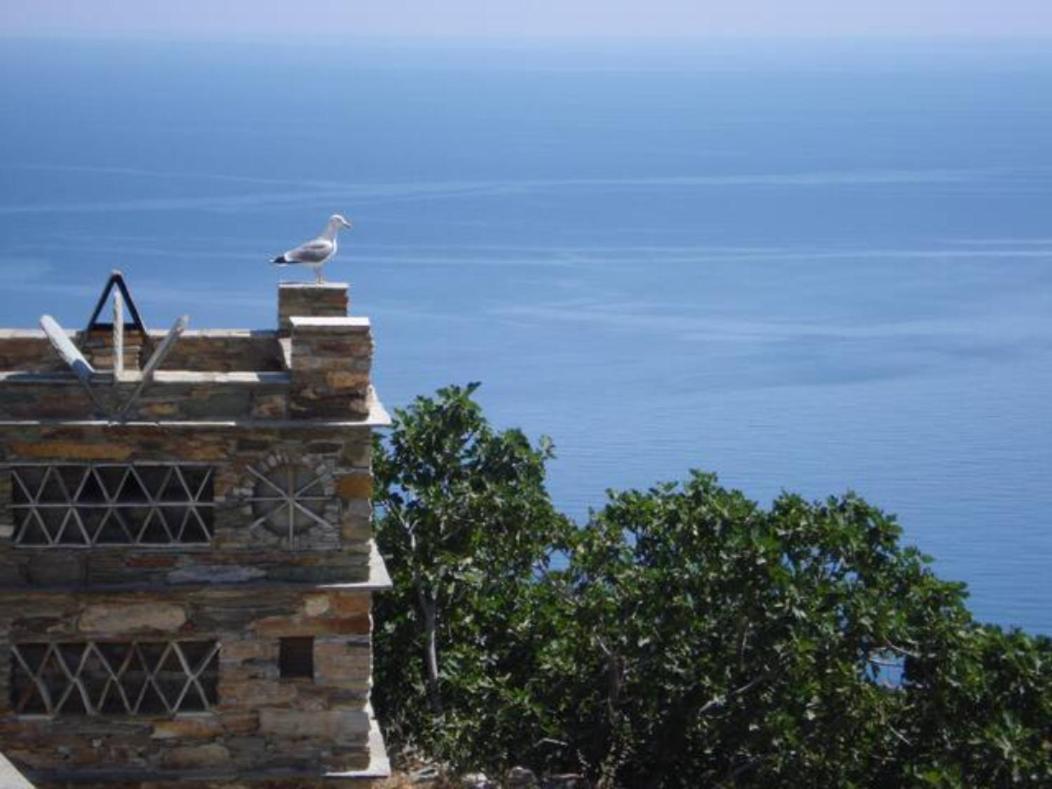 Appartement Andros Vineyard House With Sea View à Sineti Extérieur photo