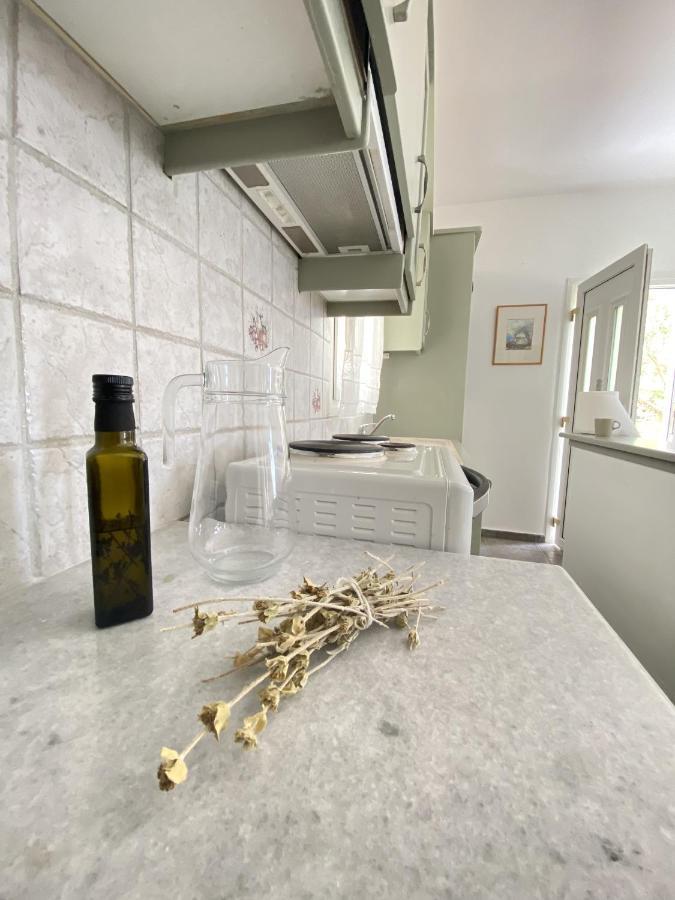 Appartement Andros Vineyard House With Sea View à Sineti Extérieur photo
