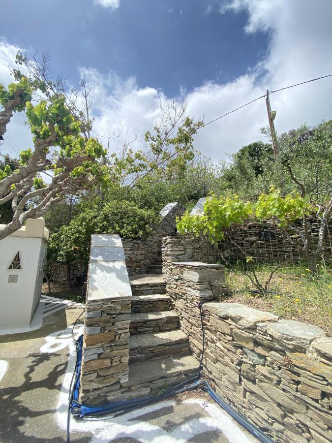 Appartement Andros Vineyard House With Sea View à Sineti Extérieur photo
