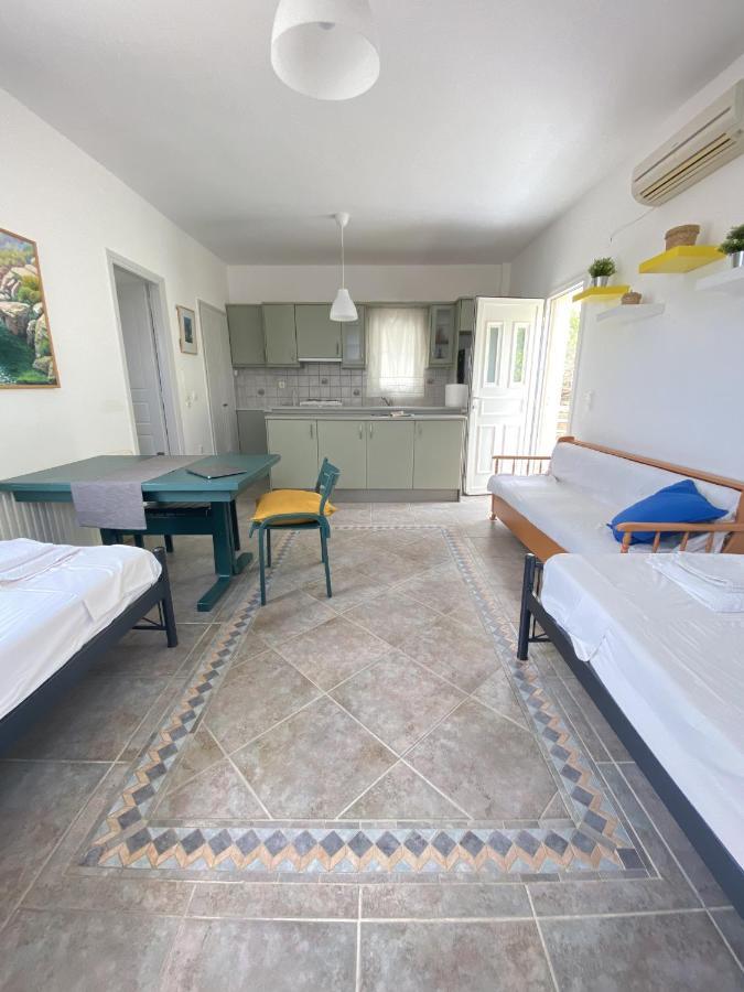 Appartement Andros Vineyard House With Sea View à Sineti Extérieur photo