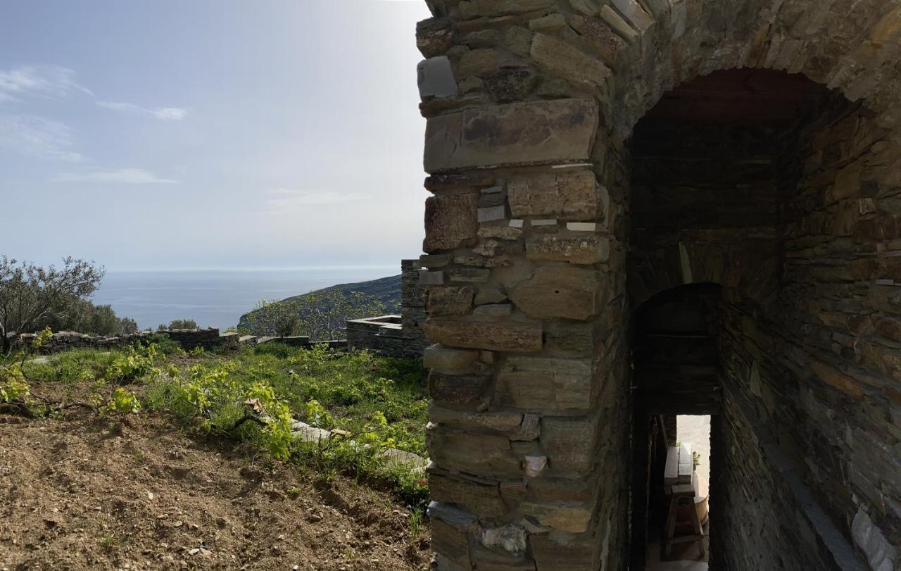 Appartement Andros Vineyard House With Sea View à Sineti Extérieur photo