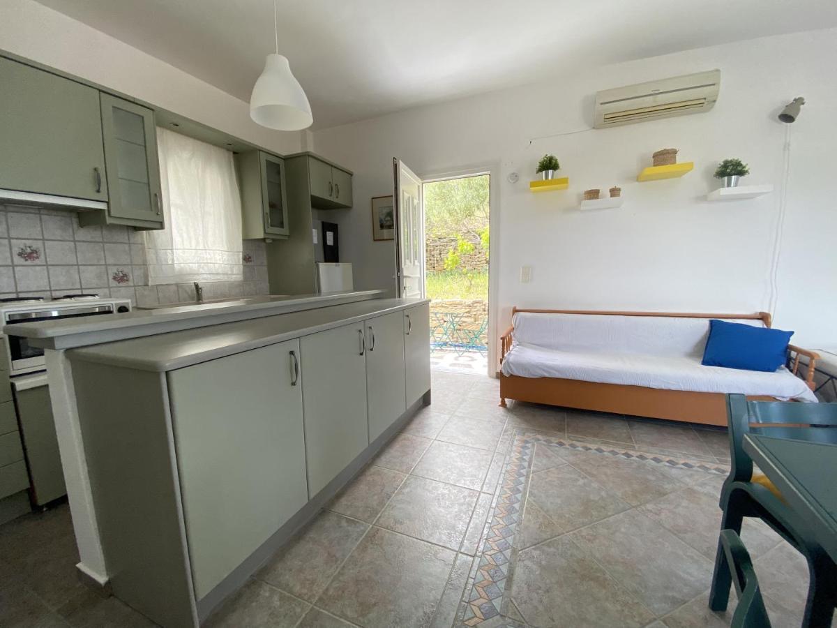 Appartement Andros Vineyard House With Sea View à Sineti Extérieur photo